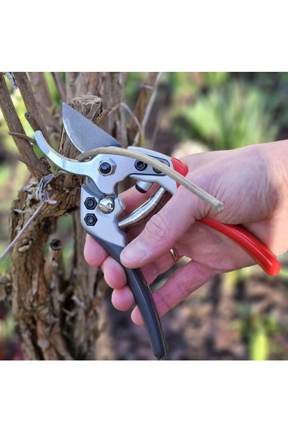 Гострі леза Секатор AIRAJ 1022